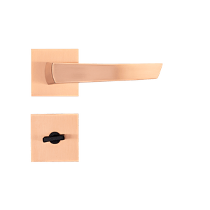 CE -25-